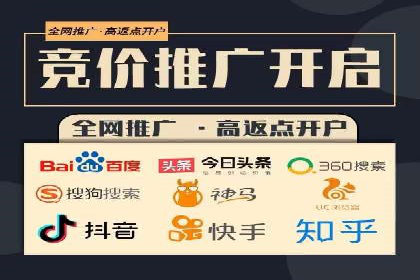 竞价广告策略案例分析